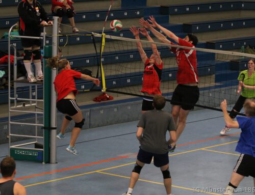 Volleyballer blicken auf erfolgreiches Saisionende